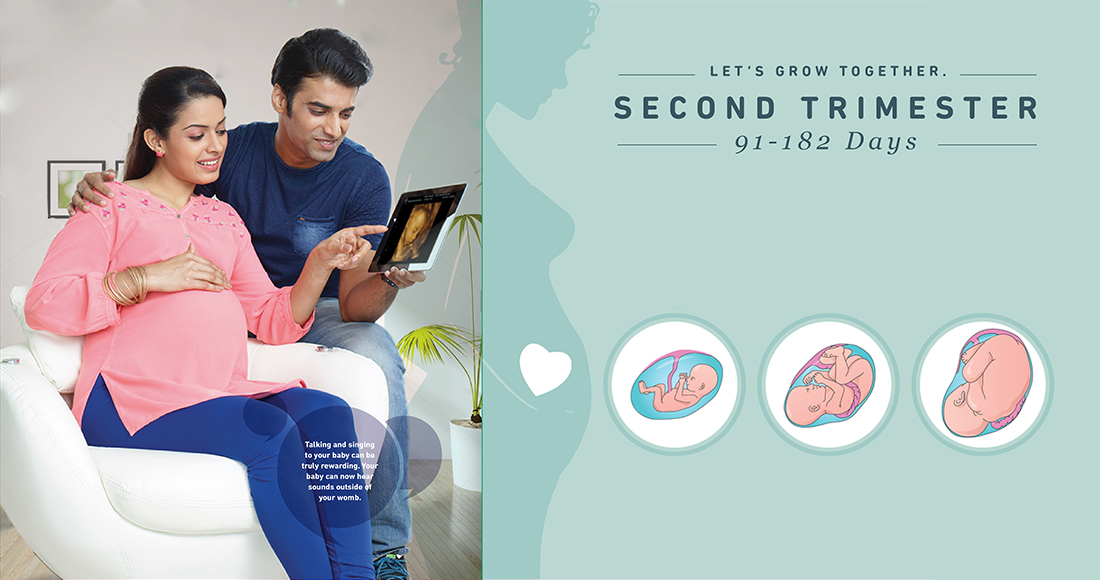 Second Trimester - 91- 182 Days